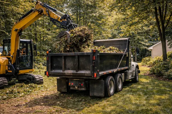 Image of Tree Trimming Austin
